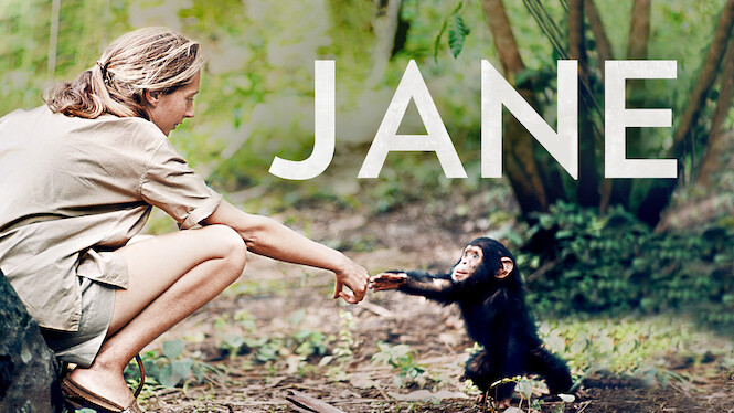 Jane (2017) - Netflix | Flixable